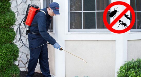 Derepazarı Haşere İlaçlama böcek ilaçlama ve haşere kontrolü — ilaclama-tr.com